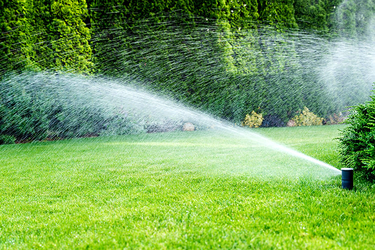 Irrigation of green grass with a sprinkler system.