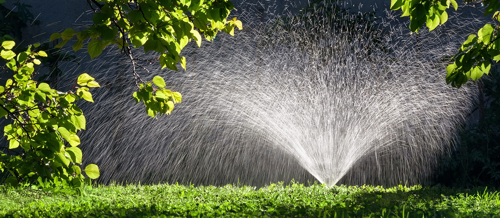 Sprinkler & Irrigation Systems